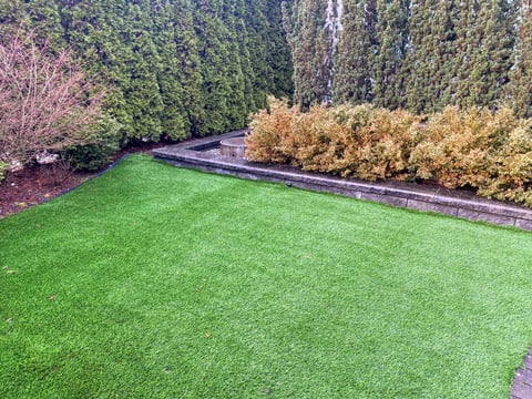 Lake cabin turf