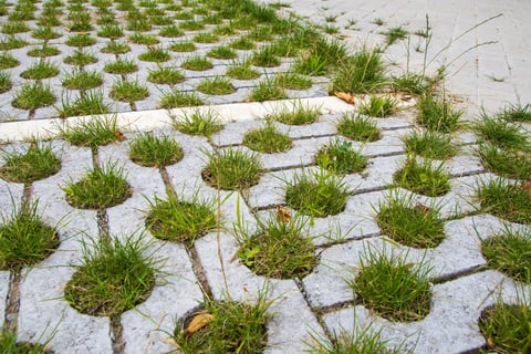 Driveway with turf strips - permeable grass pavers